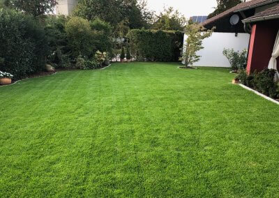 Gartenneugestaltung mit Rollrasen in Straubing