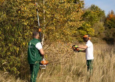 Landschafts- und Gartenbau in Straubing