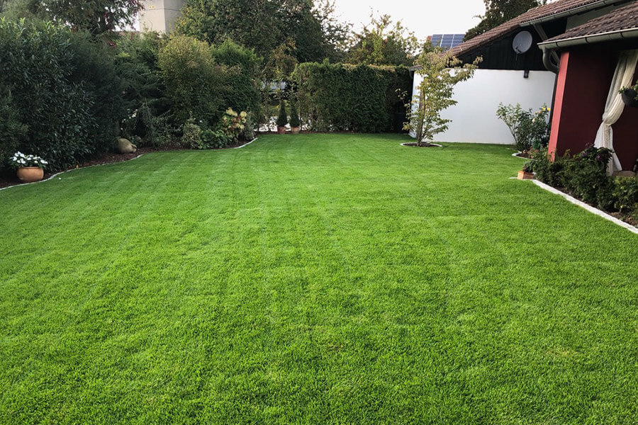 Ridizajnimi i kopshtit me terren Ridizajnimi i kopshtit me terren